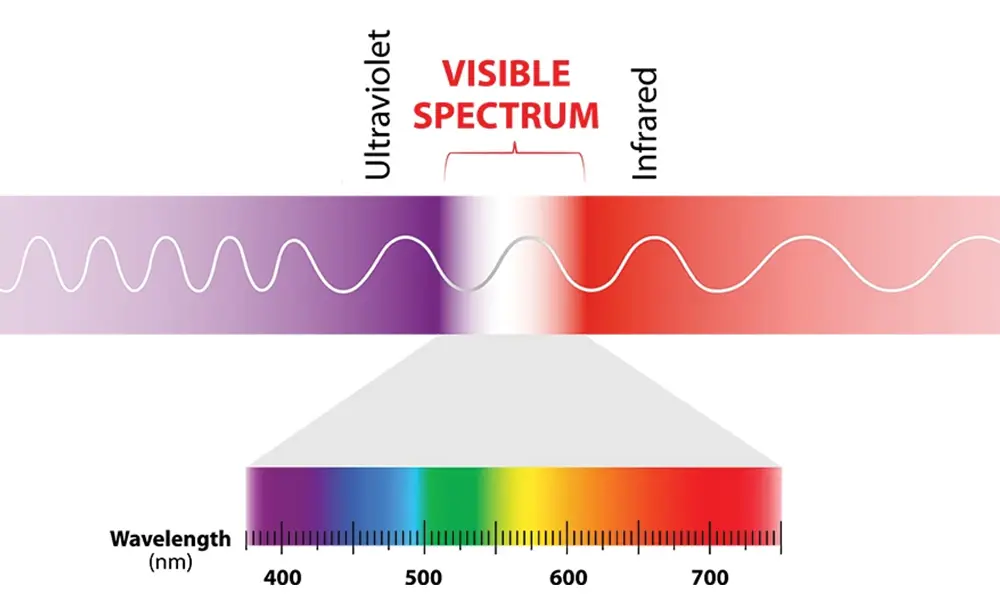 electromagnetic spectrum range which attract the bugs 