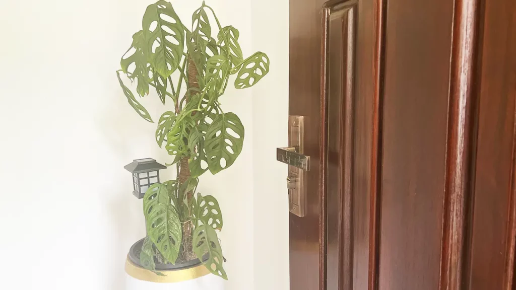 solar garden light mounted inside of a indoor plant