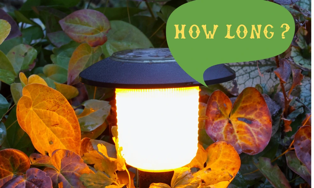 How long solar light will last?